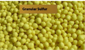 granular sulfur
